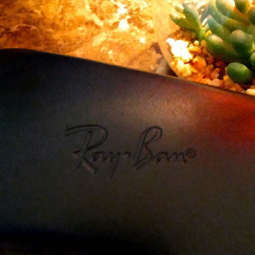Ray Ban case